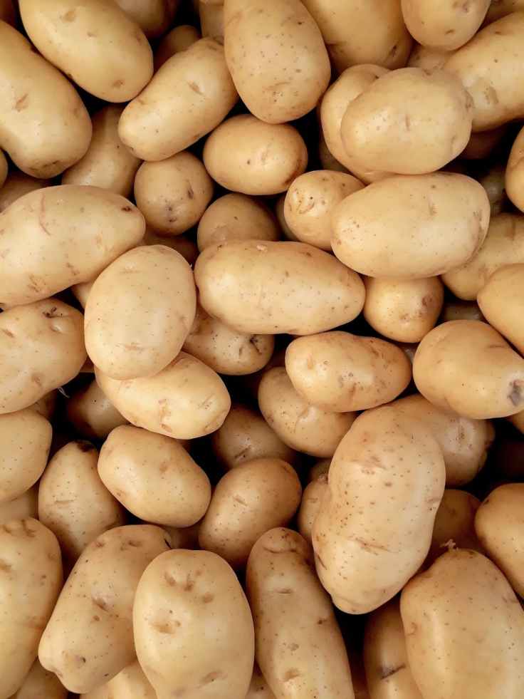 photo of pile of potatoes